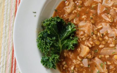 Instant Pot Stuffed Cabbage Soup