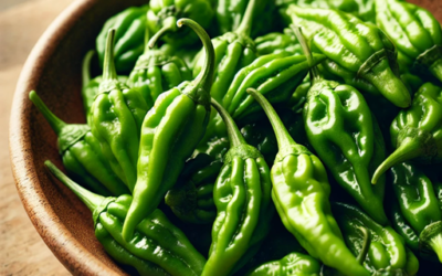 Savour the Flavour of Shishito Peppers!