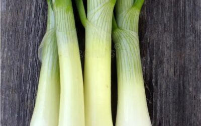 Let’s Talk About a Leek-y Weekend