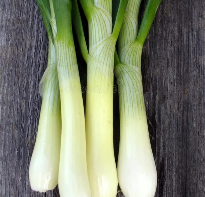 Let’s Talk About a Leek-y Weekend