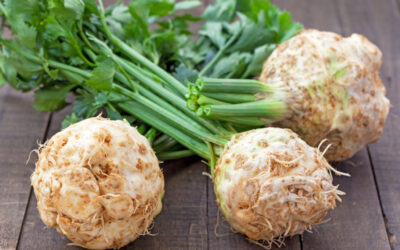 Exploring Celery Root (Celeriac)