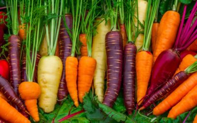 Savory Herb-Infused Roasted Carrots