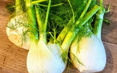 Spice Up Your Sunday with the Fresh Flavor of Fennel