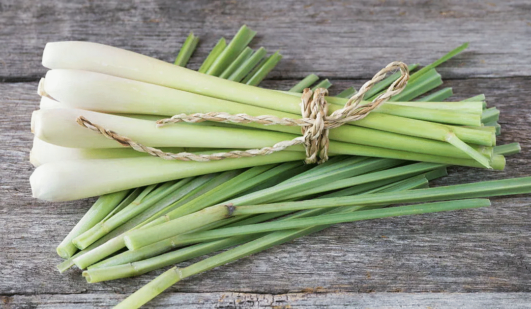 The Calming Power of Lemongrass!