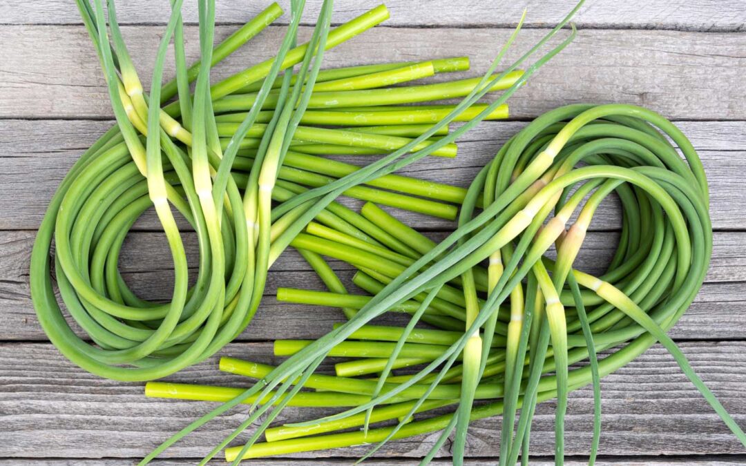 Garlic Scapes – The Curly Green Flavor Boost You Didn’t Know You Needed!