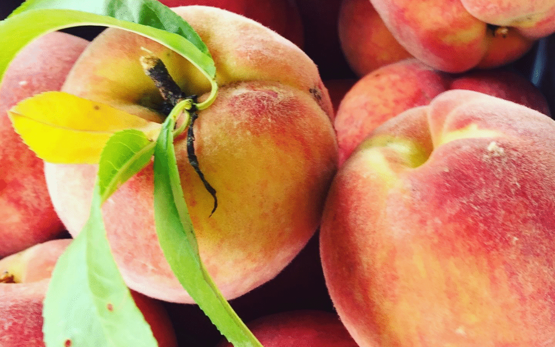 Peaches – Sweet, Smoky & In Season