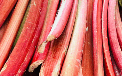 Rhubarb Season is Here!