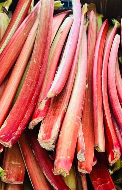Rhubarb Season is Here!