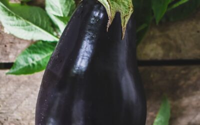 Eggplant Elegance