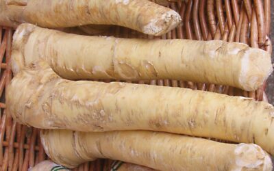 Spice Things Up with Horseradish