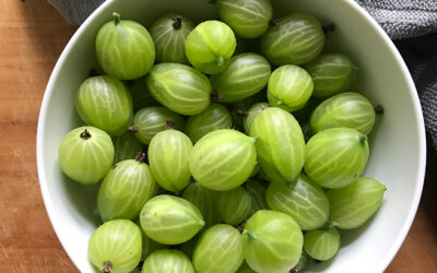 Gooseberries – Tangy, Sweet & Bursting with Seasonal Goodness!