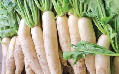 Daikon Radish Done Right