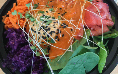 Purple Cabbage – Bold Color, Big Nutrition