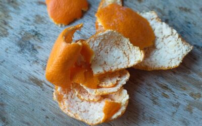 Don’t Toss That Orange Peel!