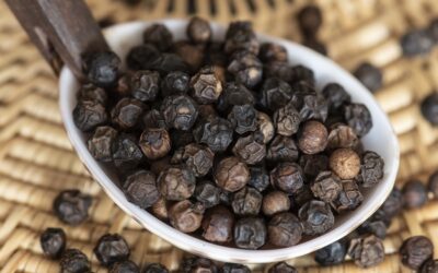 Black Pepper – The Quiet Hero of your Spice Rack
