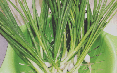 The Simple Trick That Makes Chives Last!