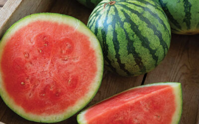 Refresh with Nature’s Juiciest Treat!