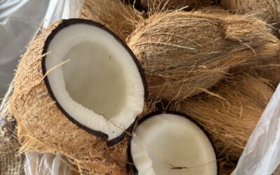 Coconut — Your Source of Clean, Plant-Powered Energy!