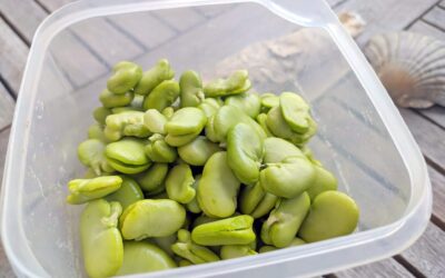Fava Beans — Folate for Hormonal Balance