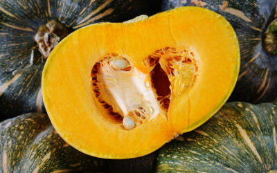 Kabocha Squash has Serious Depth