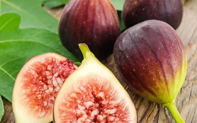 Fresh Figs!