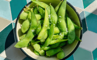 Edamame – Fresh, Green Protein Pods