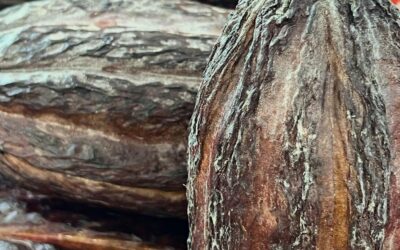 It’s Thankful Thursday but What in the HECK is this?