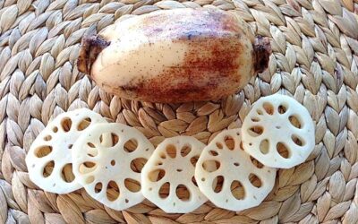 Lotus Root Love!