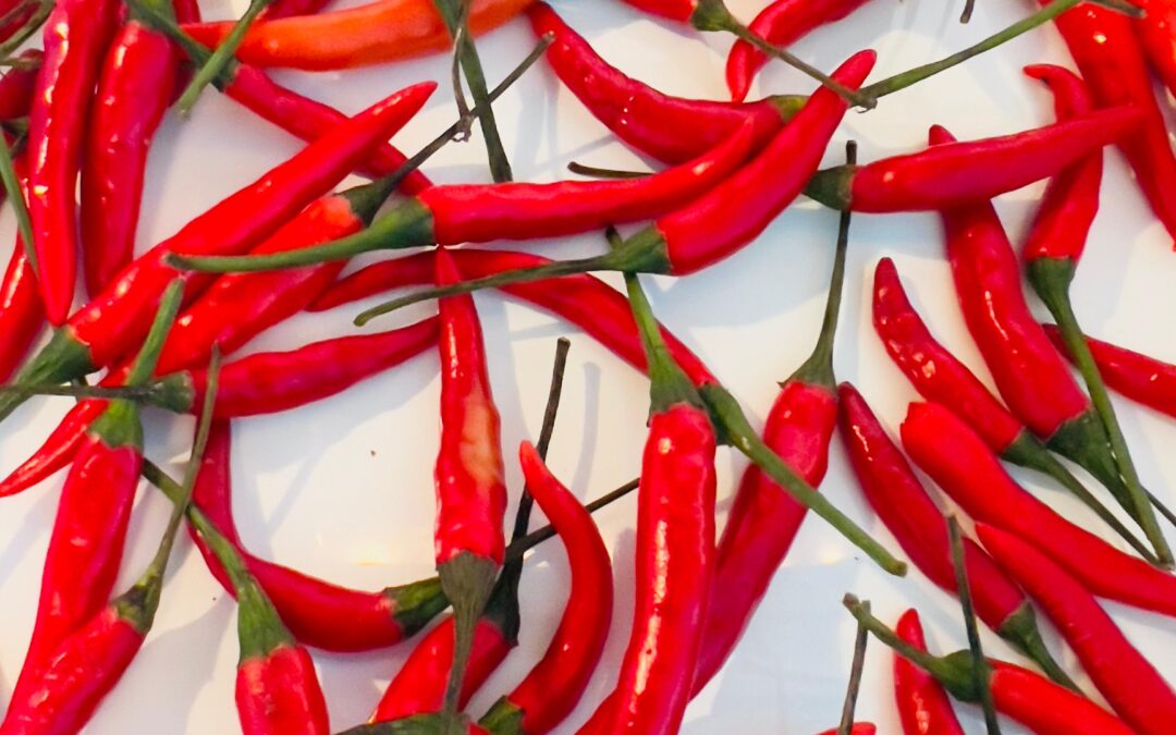 Cayenne Pepper – Spicy Power