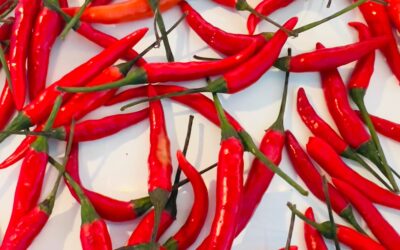 Cayenne Pepper – Spicy Power