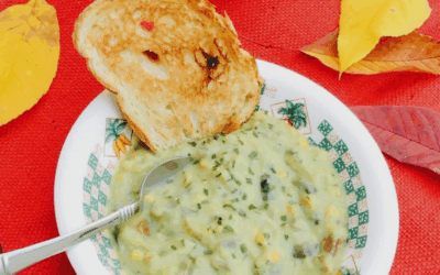 Winter Solstice Comfort