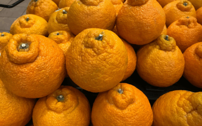 Today’s star is the Satsuma