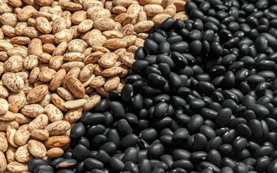 Soaking Beans, Made Simple