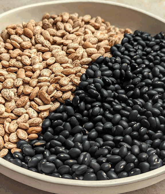 Soaking Beans, Made Simple