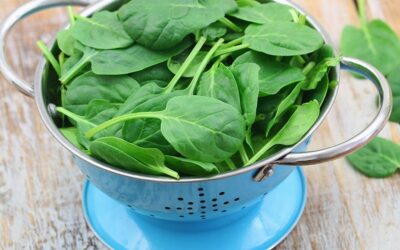 Spinach Is a Wellness Powerhouse