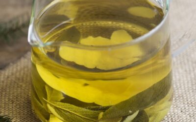 Plant Medicine or Supplement Overload?