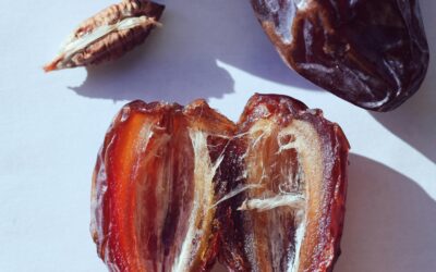 Medjool Dates: My Go-To Sweet Boost
