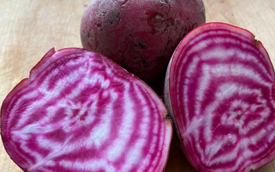 Meet Chioggia Beets