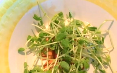 The Pea Shoots