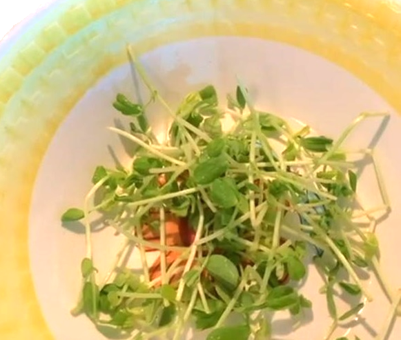 The Pea Shoots