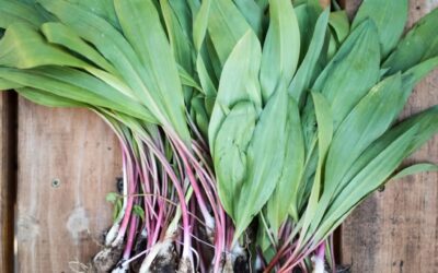 The Magic of Ramps