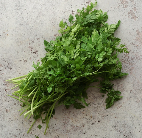Fresh Chervil: A Subtle Spring Favorite