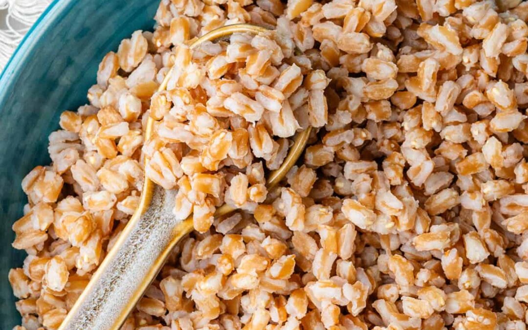 Farro – Chewy Ancient Wheat!
