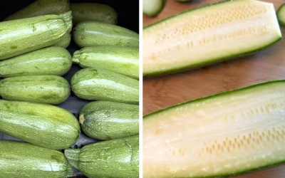 Calabacita Squash: Bringing Ease to Your Plate!