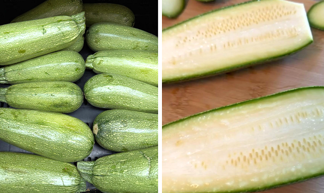 Calabacita Squash: Bringing Ease to Your Plate!