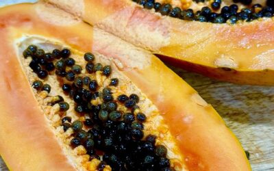 Papaya, A Sweet Tropical Boost