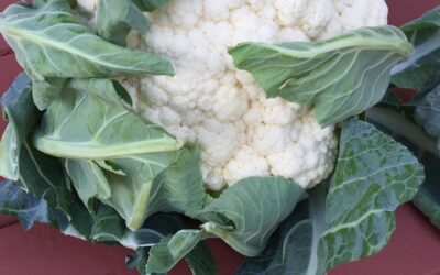 Cauliflower Just Got Interesting