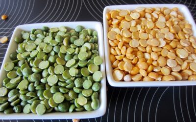 Green vs. Yellow Split Peas