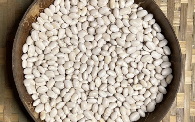 Navy Beans: The Ultimate Pantry Staple!