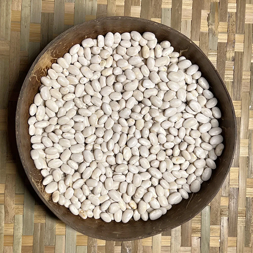 Navy Beans: The Ultimate Pantry Staple!